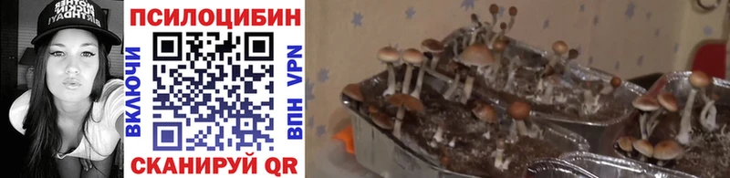 Галлюциногенные грибы мухоморы  кракен рабочий сайт  Находка 