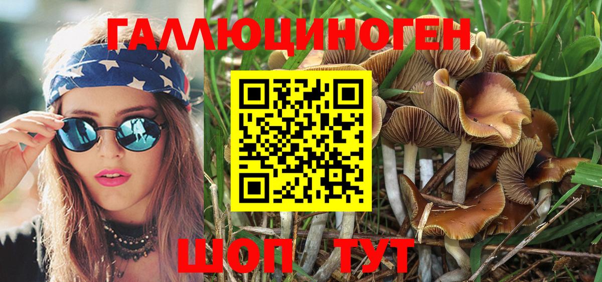 Галлюциногенные грибы Magic Shrooms Находка