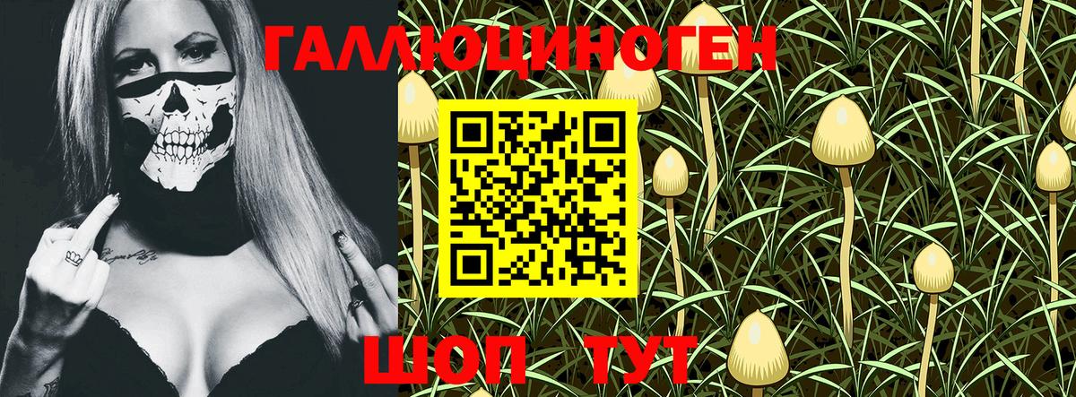 Галлюциногенные грибы Magic Shrooms  купить наркотик  Находка  Вход с VPN 